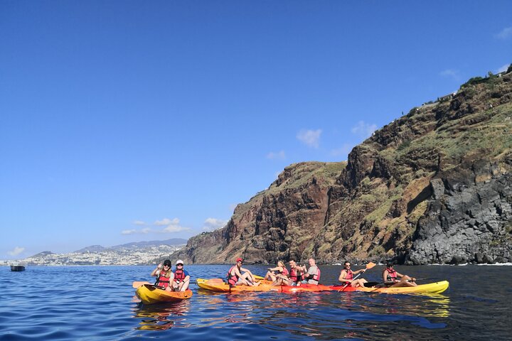 Whale watching boat off Madeira coast — dolphin surfacing