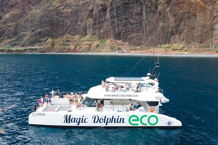 Dolphin and Whale Watching Ecological Catamaran from Funchal