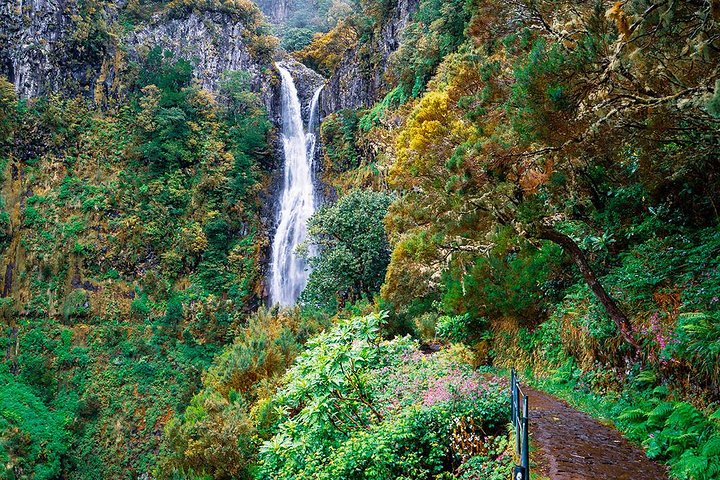 25 Fontes levada walk — lush forest trail with water channel