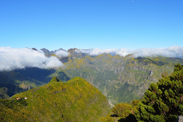Madeira coastal trail — ocean views from cliff path