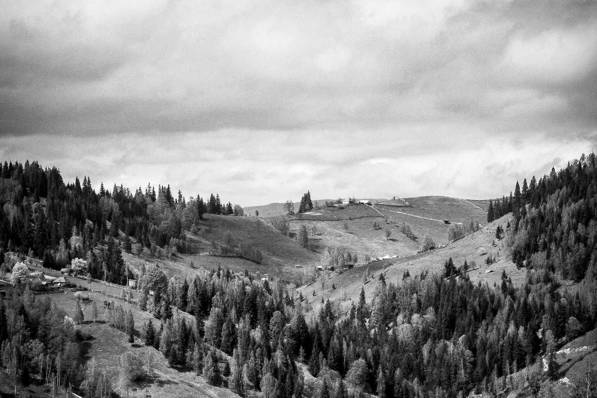 4X4 Tours establishing shot