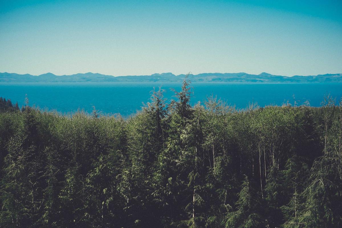 Hiking establishing shot