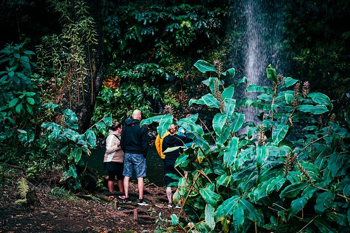 4X4 Tours experience